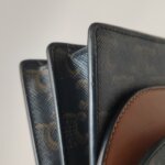 Celine Triomphe Canvas — фото 16