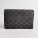 Celine Triomphe Canvas — фото 5