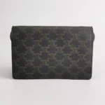 Celine Triomphe Canvas (Селин) — фото 5