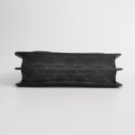 Celine Triomphe Canvas — фото 6