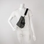 Dior Saddle Oblique — фото 2