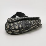 Dior Saddle Oblique — фото 6