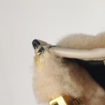 Fendi Sunshine — фото 18