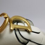 Dior Saddle — фото 13