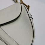 Dior Saddle — фото 18