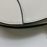 Dior Saddle — фото 20