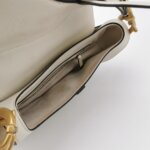 Dior Saddle — фото 7