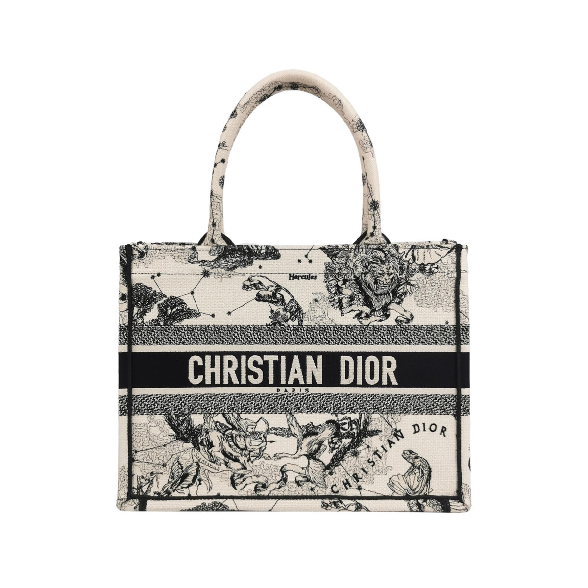 Dior Book Tote logo — продано
