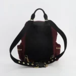 Burberry Rucksack Logo (Бёрберри) — фото 5