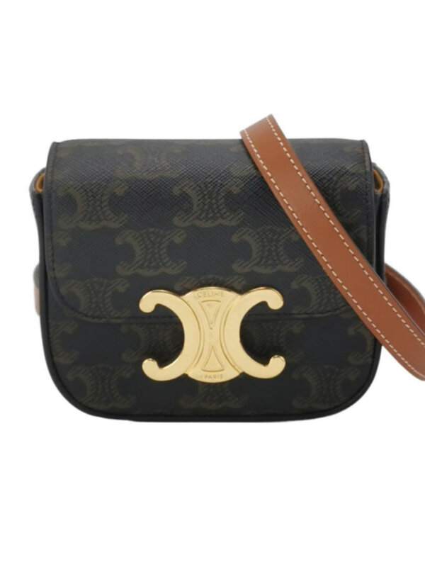 Celine Triomphe Canvas