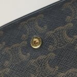 Celine Triomphe Canvas — фото 14