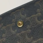 Celine Triomphe Canvas (Селин) — фото 14