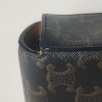 Celine Triomphe Canvas — фото 19