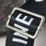 Celine Triomphe Canvas — фото 12