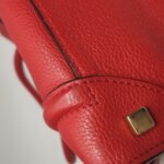 Celine Luggage — фото 17