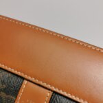 Celine Triomphe Canvas Logo — фото 18