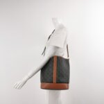 Celine Triomphe Canvas Logo — фото 2