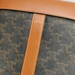 Celine Triomphe Canvas Logo — фото 23