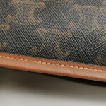 Celine Triomphe Canvas Logo — фото 26