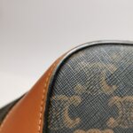 Celine Triomphe Canvas Logo — фото 31