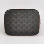 Celine Triomphe Canvas Logo — фото 6