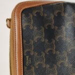 Celine Triomphe Canvas Logo — фото 13