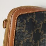 Celine Triomphe Canvas Logo — фото 16