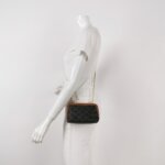 Celine Triomphe Canvas Logo — фото 2