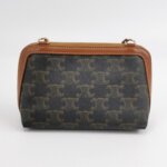 Celine Triomphe Canvas Logo — фото 5