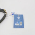 Celine Trotteur — фото 8