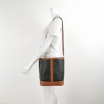 Celine Triomphe Canvas — фото 2