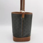 Celine Triomphe Canvas (Селин) — фото 4