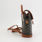 Goyard Alpin Y — фото 4