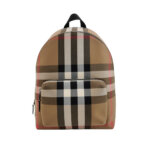 Burberry Backpack — миниатюра 1