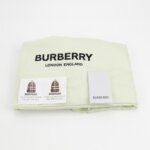 Burberry Backpack — фото 10