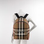 Burberry Backpack — фото 2