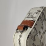 Celine Triomphe Canvas Logo — фото 12