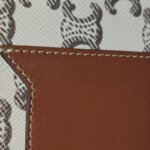 Celine Triomphe Canvas Logo — фото 14