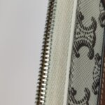 Celine Triomphe Canvas Logo — фото 15