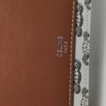 Celine Triomphe Canvas Logo — фото 17