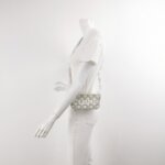 Celine Triomphe Canvas Logo — фото 2