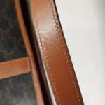 Celine Triomphe Canvas logo — фото 14