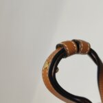 Celine Triomphe Canvas — фото 13