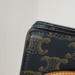 Celine Triomphe Canvas — фото 15