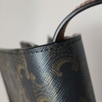 Celine Triomphe Canvas — фото 16