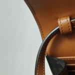 Celine Triomphe Canvas — фото 20