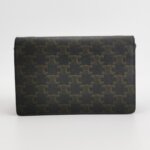 Celine Triomphe Canvas — фото 5