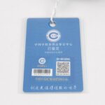 Celine Triomphe Canvas — фото 8