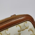 Celine Triomphe Canvas logo — фото 14