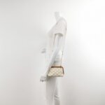 Celine Triomphe Canvas logo — фото 2